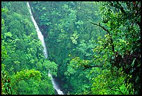 Kahuna Falls. Akaka Falls State Park, Big Island, Hawaii, USA (color)