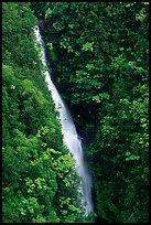 Kahuna Falls in a lush valley. Akaka Falls State Park, Big Island, Hawaii, USA ( color)