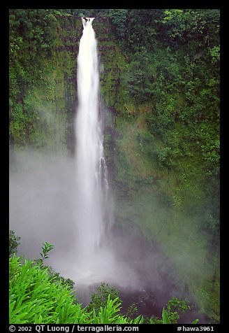 Akaka Falls on Kolekole stream. Akaka Falls State Park, Big Island, Hawaii, USA (color)