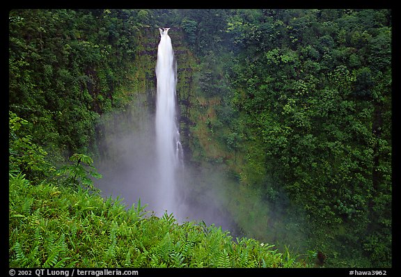 Akaka Falls. Akaka Falls State Park, Big Island, Hawaii, USA