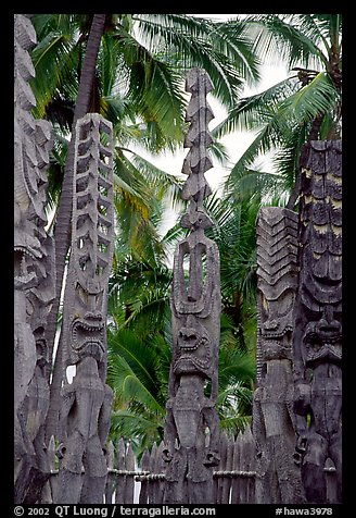 Polynesian idols, Puuhonua o Honauau National Historical Park. Big Island, Hawaii, USA (color)