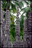 Polynesian idols, Puuhonua o Honauau National Historical Park. Big Island, Hawaii, USA (color)