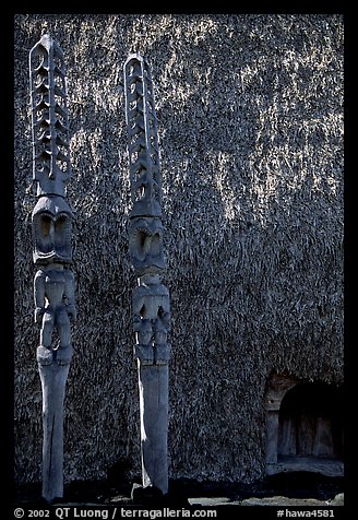 Statues of Polynesian gods,  Puuhonua o Honauau (Place of Refuge). Big Island, Hawaii, USA (color)