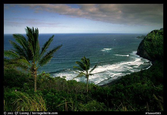 Polulu Beach seen from Polulu Valley overlook. Big Island, Hawaii, USA