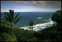 Polulu Beach seen from Polulu Valley overlook. Big Island, Hawaii, USA