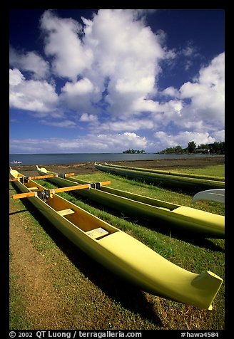 Outtrigger canoes on  beach,  Hilo. Big Island, Hawaii, USA