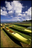 Outtrigger canoes on  beach,  Hilo. Big Island, Hawaii, USA (color)