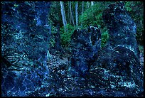 Lava mold of tree trunk, Lava Trees State Park. Big Island, Hawaii, USA (color)