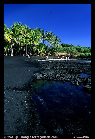 Beach of basalt black sand  at Punaluu. Big Island, Hawaii, USA