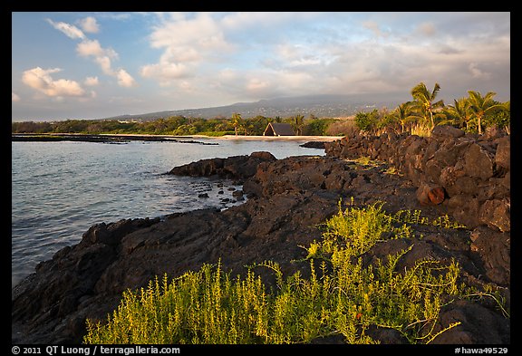 Lava shoreline, Kaloko-Honokohau National Historical Park. Hawaii, USA (color)