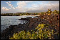 Lava shoreline, Kaloko-Honokohau National Historical Park. Hawaii, USA (color)