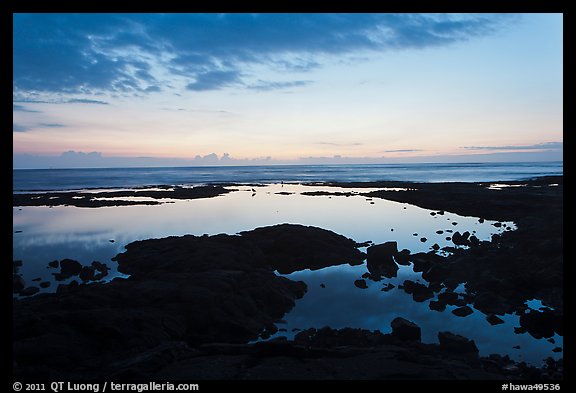 Tidepool, Kaloko-Honokohau National Historical Park. Hawaii, USA