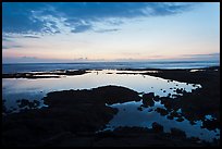 Tidepool, Kaloko-Honokohau National Historical Park. Hawaii, USA ( color)