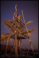 Altar and palm tree at night, Kaloko-Honokohau National Historical Park. Hawaii, USA (color)