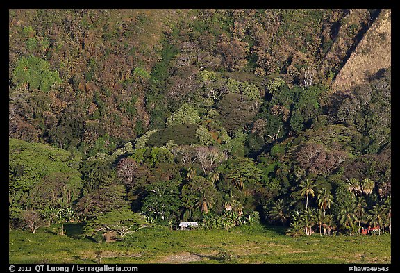 Houses at the base of steep Waipio Valley walls. Big Island, Hawaii, USA