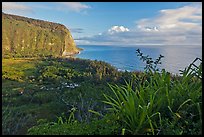 Waipio Valley and Ocean at sunrise. Big Island, Hawaii, USA ( color)