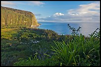 Waipio Valley and Ocean at sunrise. Big Island, Hawaii, USA