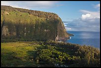 Steep valley walls, Waipio Valley. Big Island, Hawaii, USA ( color)
