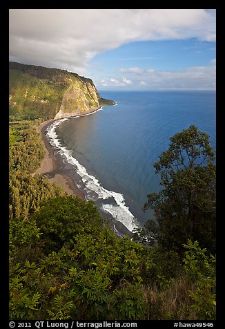 Waipio Beach from overlook, early morning. Big Island, Hawaii, USA