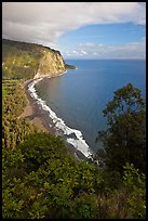 Waipio Beach from overlook, early morning. Big Island, Hawaii, USA ( color)