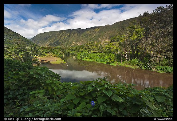 River, Waipio Valley. Big Island, Hawaii, USA (color)