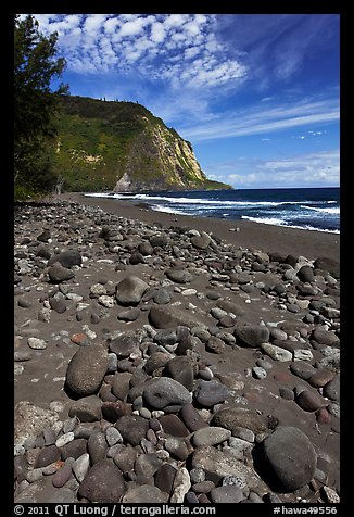 Rocks and black sand beach, Waipio Valley. Big Island, Hawaii, USA