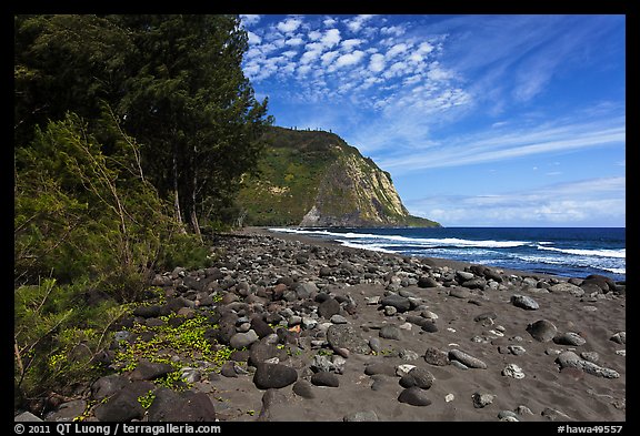 Waipio Beach covered with black sand. Big Island, Hawaii, USA