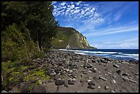 Waipio Beach covered with black sand. Big Island, Hawaii, USA