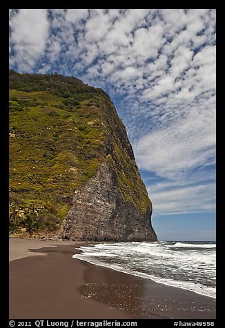 Black sand beach and cliff, Waipio Valley. Big Island, Hawaii, USA (color)