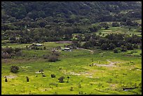 Valley farmlands from above, Waipio Valley. Big Island, Hawaii, USA ( color)