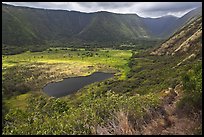 Waipio Valley. Big Island, Hawaii, USA ( color)