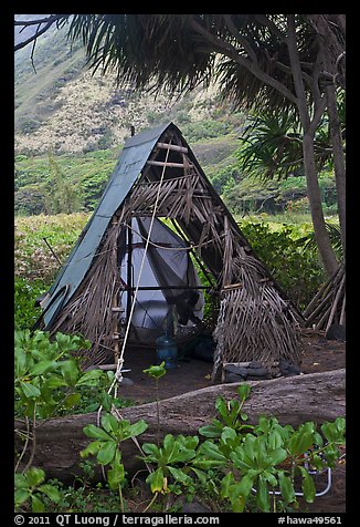 Hut, Waipio Valley. Big Island, Hawaii, USA