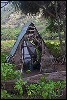 Hut, Waipio Valley. Big Island, Hawaii, USA