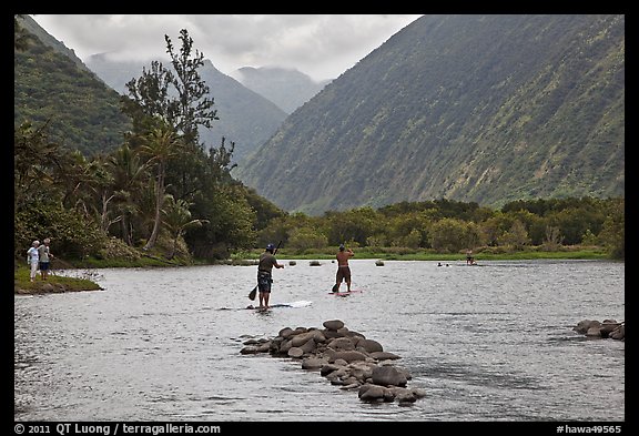 Men paddleboarding on river, Waipio Valley. Big Island, Hawaii, USA
