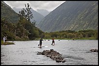 Men paddleboarding on river, Waipio Valley. Big Island, Hawaii, USA