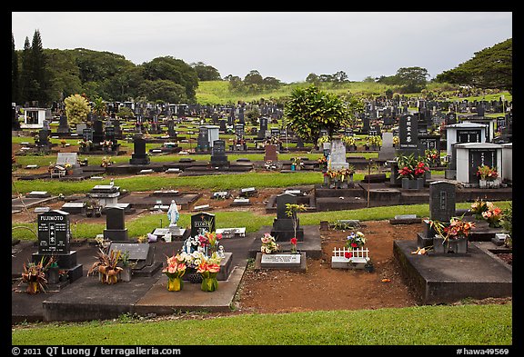 Japanese graves, Hilo. Big Island, Hawaii, USA (color)