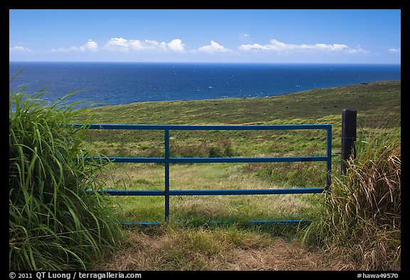 Gate, field, and Ocean. Big Island, Hawaii, USA (color)