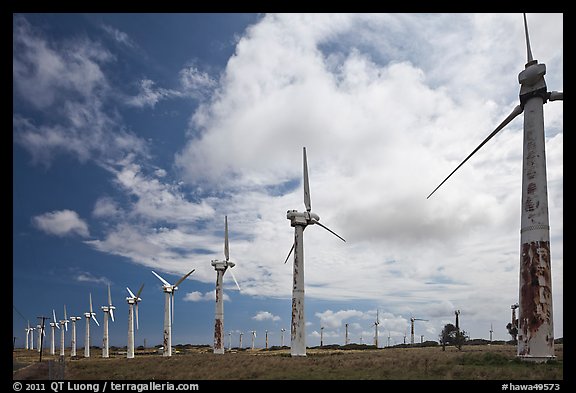 Old Kamoa wind farm, South Point. Big Island, Hawaii, USA