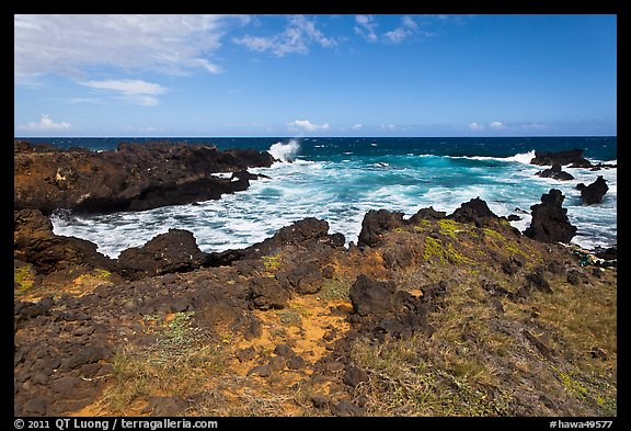 Grasses and volcanic shore, South Point. Big Island, Hawaii, USA (color)