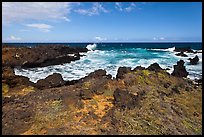 Grasses and volcanic shore, South Point. Big Island, Hawaii, USA ( color)