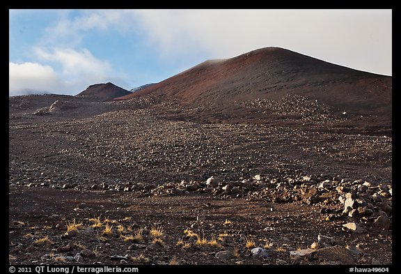 Cinder cones. Mauna Kea, Big Island, Hawaii, USA (color)