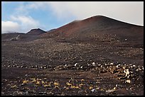 Cinder cones. Mauna Kea, Big Island, Hawaii, USA ( color)