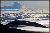 Ridges and sea of clouds. Mauna Kea, Big Island, Hawaii, USA ( color)