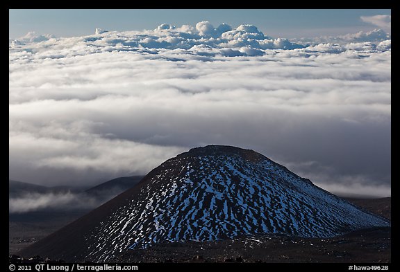 Dark cinder cone and sea of clouds. Mauna Kea, Big Island, Hawaii, USA