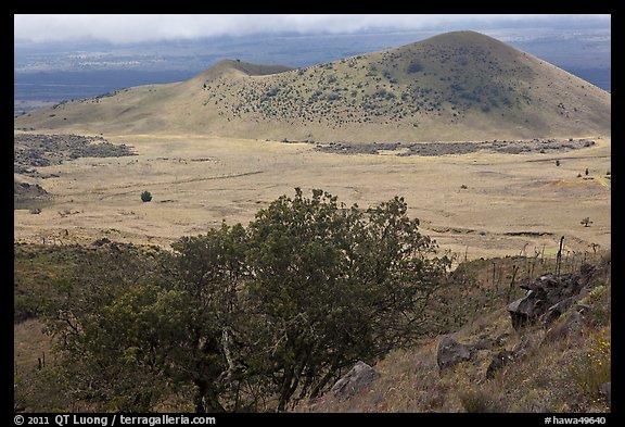 Vegetation-covered cinder cones. Big Island, Hawaii, USA