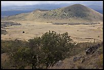 Vegetation-covered cinder cones. Big Island, Hawaii, USA ( color)