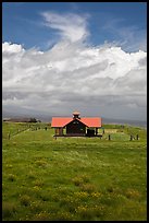 Rural building with bright red roof in ranchland. Big Island, Hawaii, USA