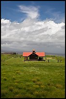 Rural building with bright red roof in ranchland. Big Island, Hawaii, USA (color)