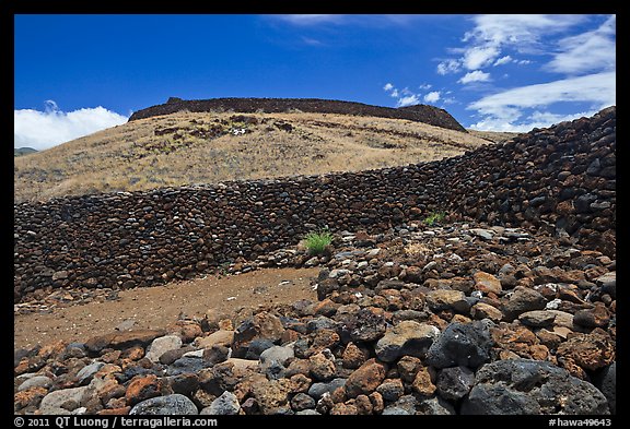 Mailekini Heaiu and Puukohola Heiau, Puukohola Heiau National Historic Site. Big Island, Hawaii, USA (color)