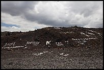 Words made with light rocks against dark lava rocks. Big Island, Hawaii, USA (color)